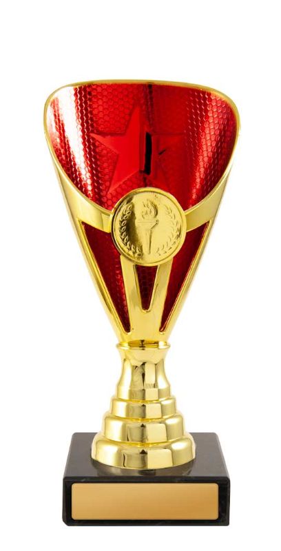 W22-2036 Arianna Cup 17cm