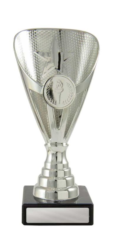 W22-2041 Arianna Cup 17cm