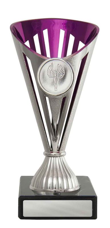 W22-2126 Fan Cup 17cm