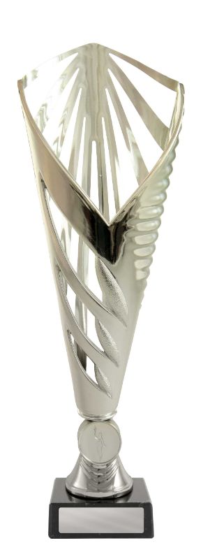 W22-2525 Aerius Cup 29cm