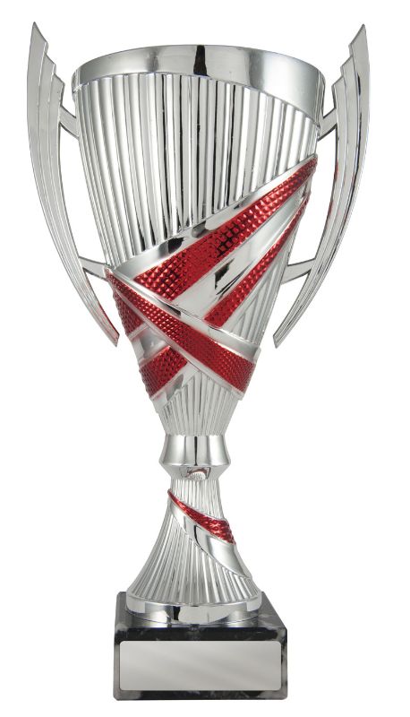 W22-2818 Bella Cup 30.5cm