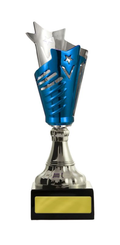 W22-3221 Glamour Cup 25cm