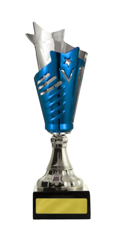 W22-3222 Glamour Cup 27cm