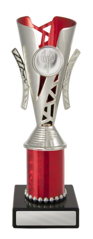 W22-3333 Festival Cup 20.3cm