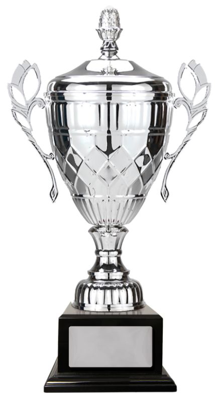 W22-3810 Whopper Cup 80cm