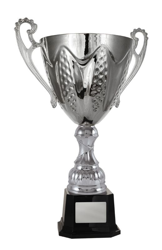 W22-3906 Bordeaux Cup 42.4cm