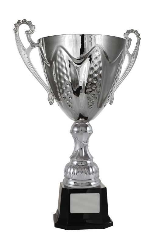 W22-3907 Bordeaux Cup 45.4cm