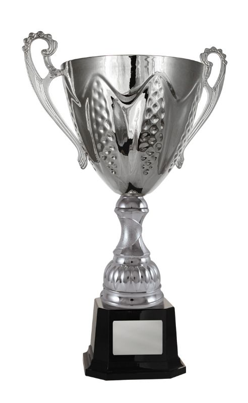 W22-3908 Bordeaux Cup 49.5cm