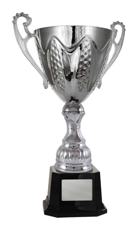 W22-3909 Bordeaux Cup 55.6cm