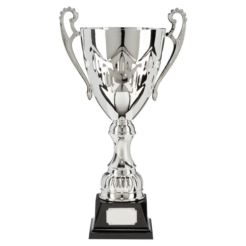 W22-3924 Crown Cup 42.4cm