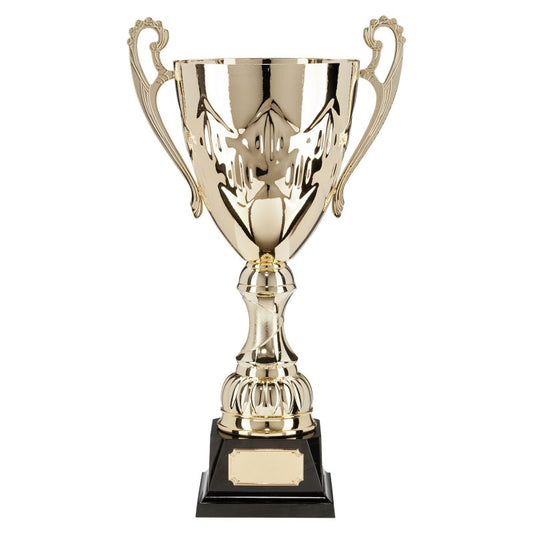 W22-3929 Crown Cup 30.4cm