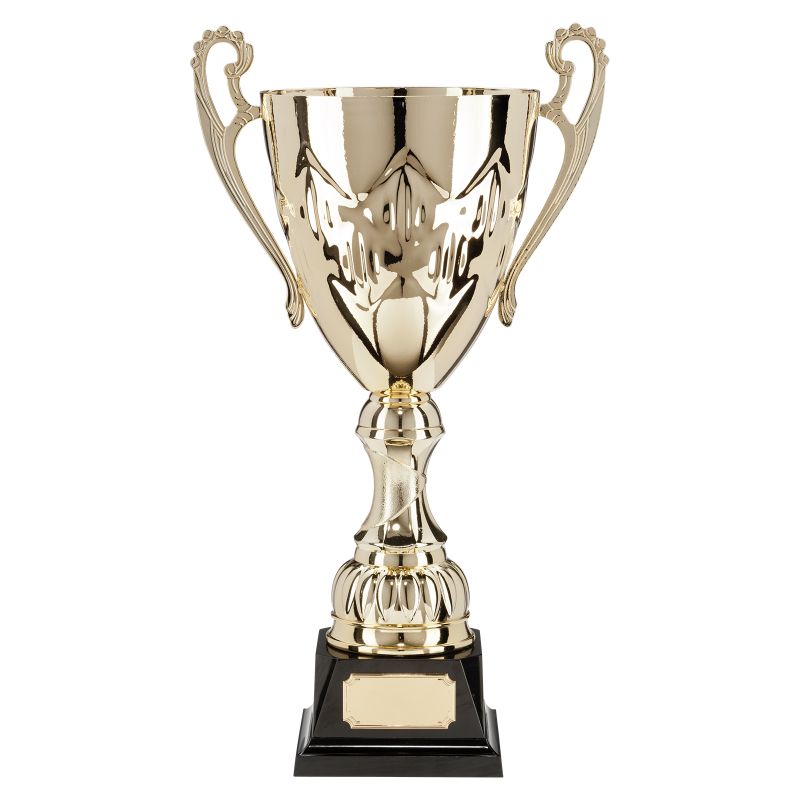 W22-3933 Crown Cup 42.4cm