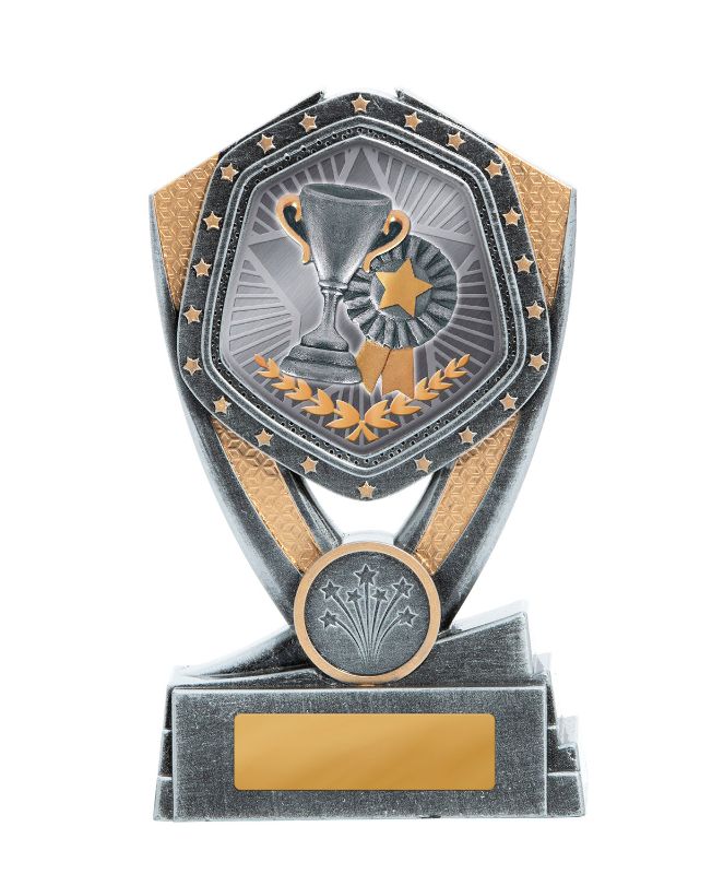W22-6508 Hero Series-Achievement 15cm