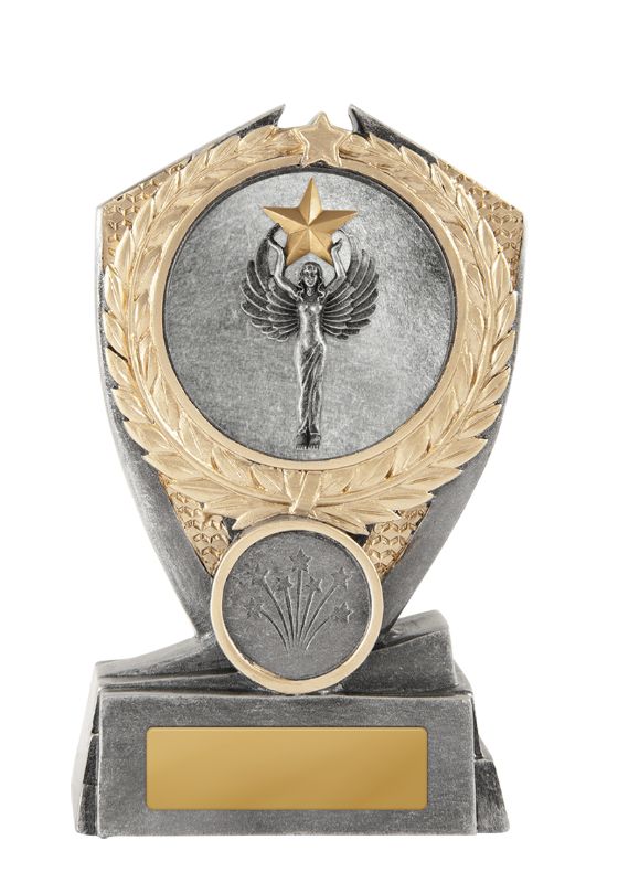 W22-6520 Hero Shield-Achievement 12.5cm