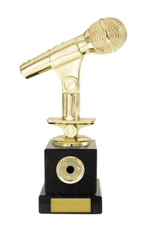 W22-6924 Microphone on Column 17cm