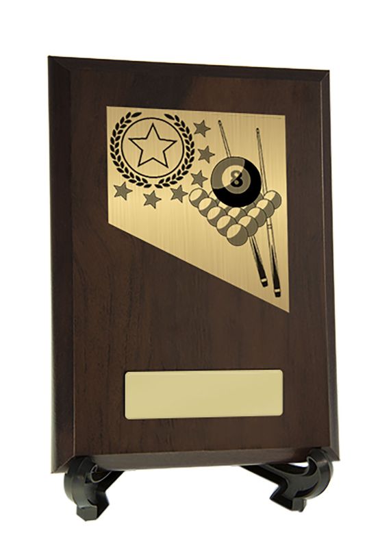 W22-8219 Plaque with Billiards Trim 17.5cm