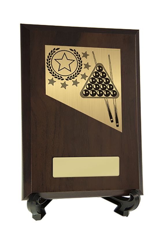 W22-8315 Plaque with Billiards Trim 17.5cm
