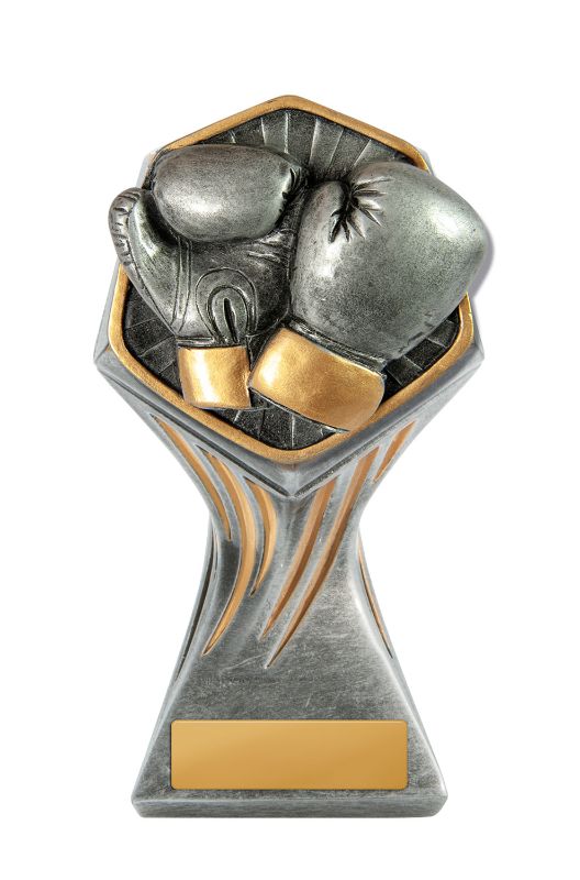 W22-8502 Gladiator Series-Boxing 12.5cm