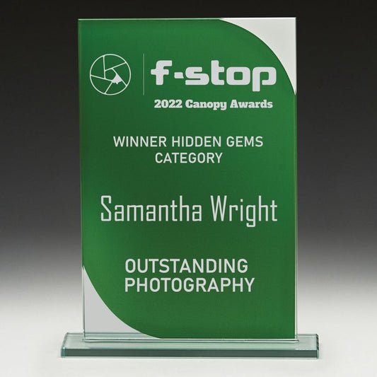 WP124 Colour Fusion Glass - Green 18.5cm
