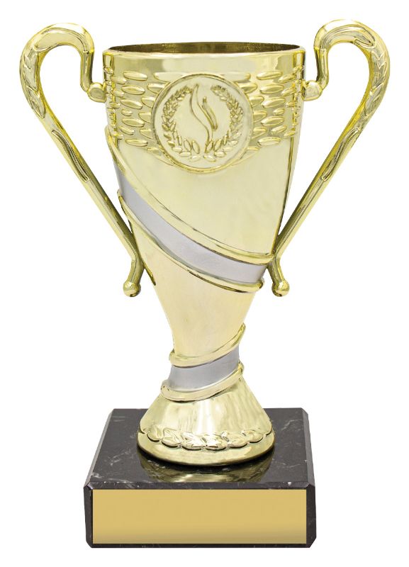 X3018 Gold / Silver Revel Cup 14.5cm