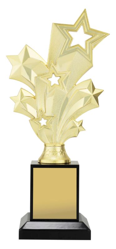 X3120 Gold Starburst on Timber 24.5cm