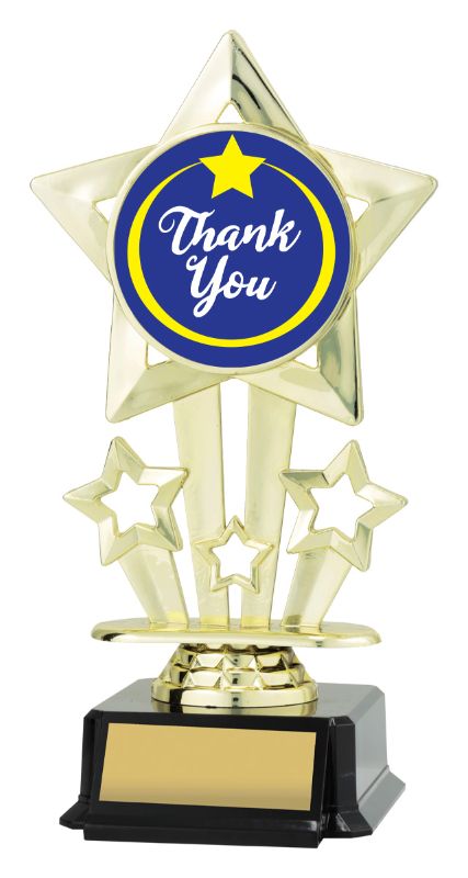 X3153 Thank You Icon Star 18cm