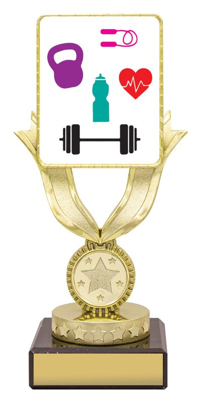 X3154 Lynx Dash Trophies 17.5cm