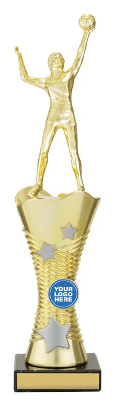 X3352 Volleyball Wayfinder 30cm