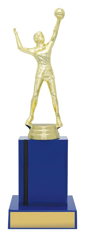 X3379 Volleyball Blue Timber 24.5cm