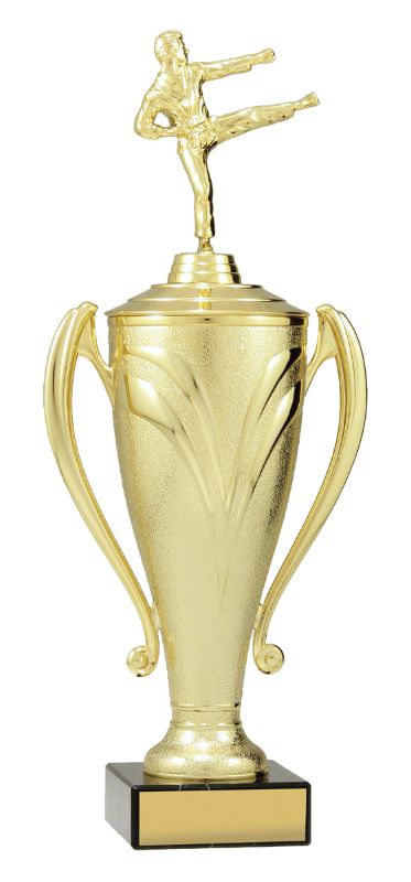 X3465 Gold Champion Cup 38.5cm