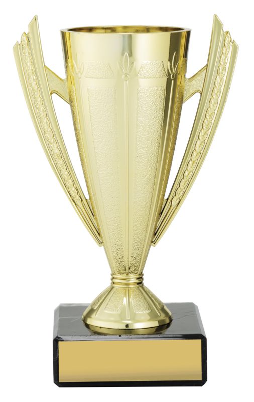 X3487 Budget Gold Cup 13cm