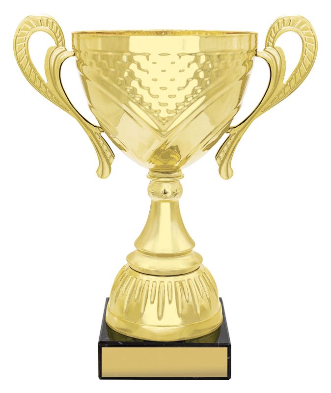 X3576 Flagstone Cup 23cm