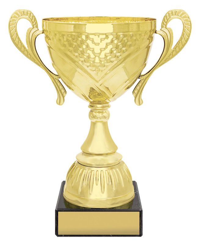 X3578 Flagstone Cup 31cm