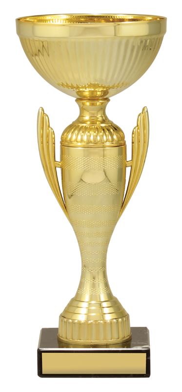 X3580 Guardian Cup Gold 23.5cm