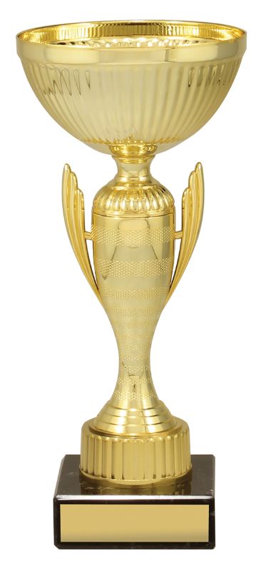 X3581 Guardian Cup Gold 26.5cm