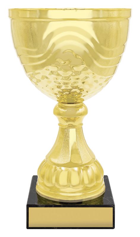 X3594 Community Cup 24.5cm