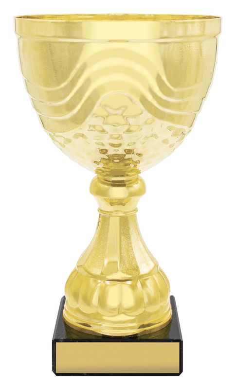 X3595 Community Cup 27.5cm