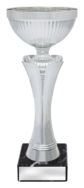 X3642 Silver Equity Cup 25.5cm