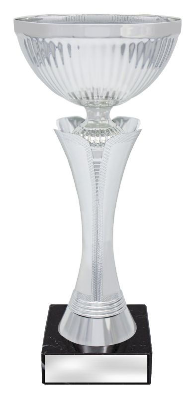 X3643 Silver Equity Cup 27.5cm
