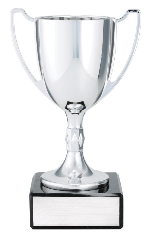 X3656 Silver Cast Cup 17.5cm