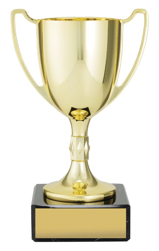 X3659 Gold Cast Cup 17.5cm