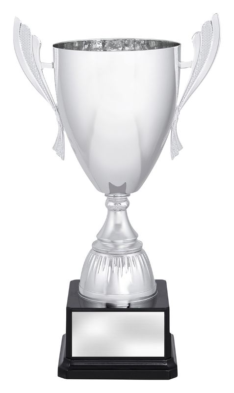 X3680 Ironside Silver Cup 28cm