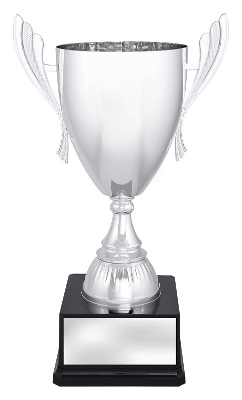 X3682 Ironside Silver Cup 37cm