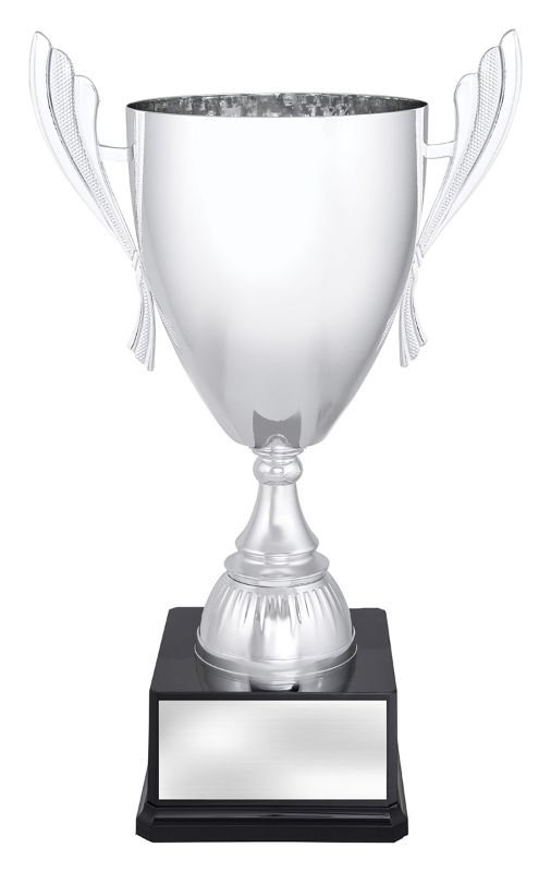 X3683 Ironside Silver Cup 42cm