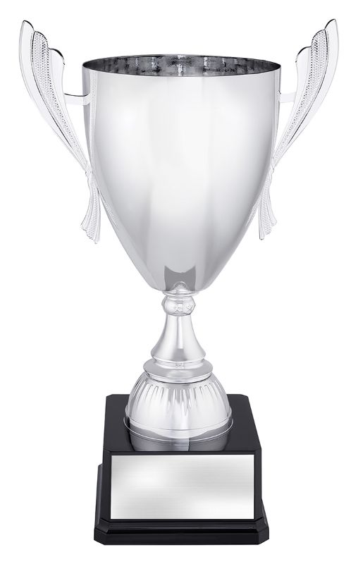 X3684 Ironside Silver Cup 45cm