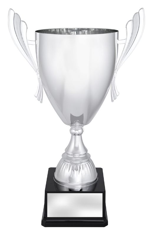X3685 Ironside Silver Cup 53cm