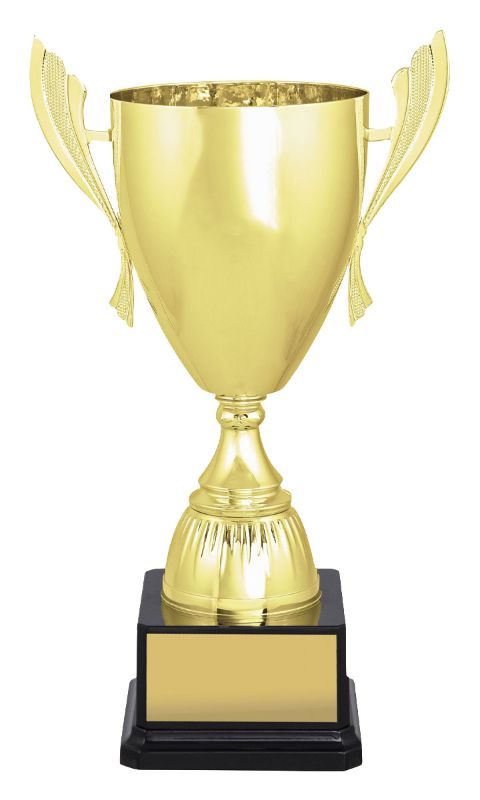 X3686 Ironside Gold Cup 28cm
