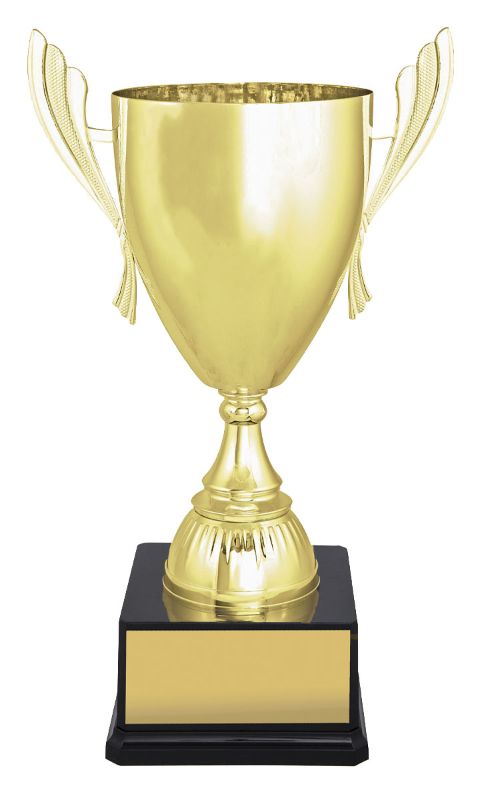 X3688 Ironside Gold Cup 37cm