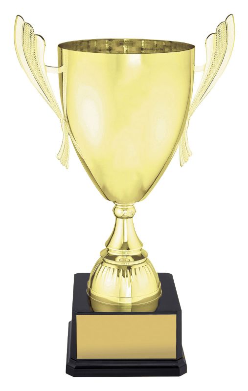 X3690 Ironside Gold Cup 45cm