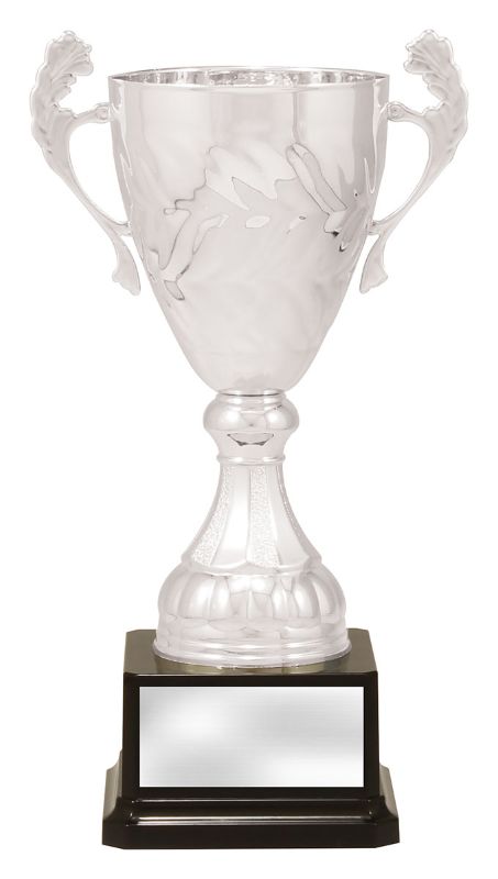 X3693 Eternal Cup Silver 26.5cm